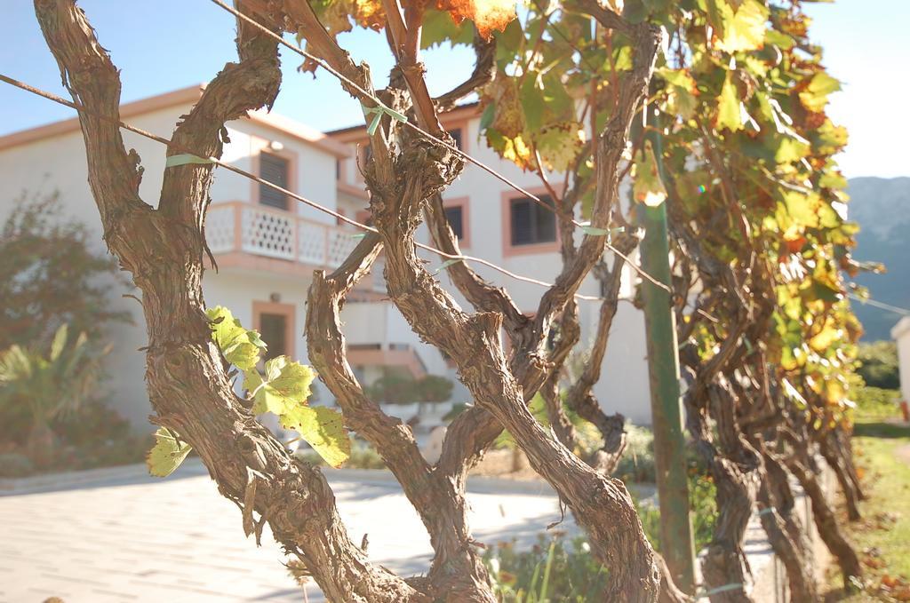 Apartments Marija บัชกา ภายนอก รูปภาพ